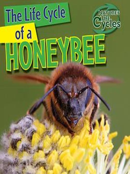 Title details for The Life Cycle of a Honeybee by Barbara M. Linde - Available